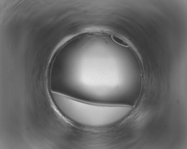 X0000081321045200701111023