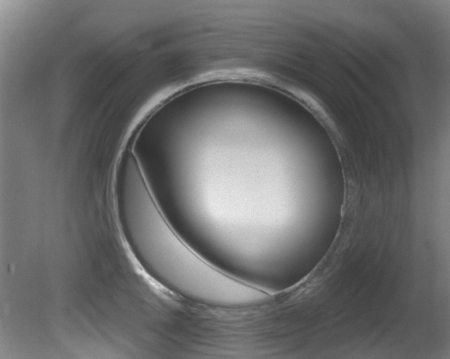 X0000081321046200701111023