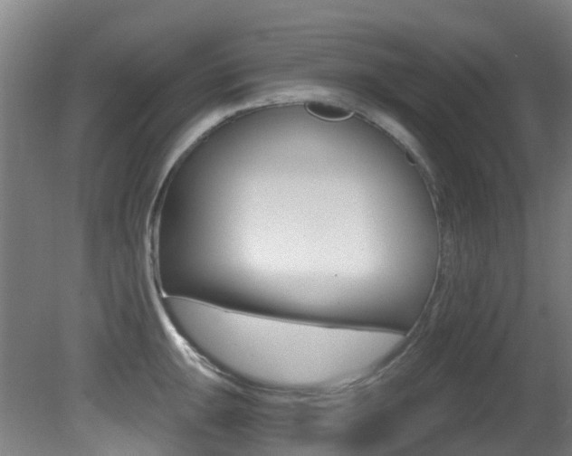X0000081321047200701111023