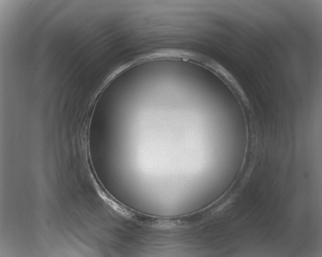 X0000081321049200701111023