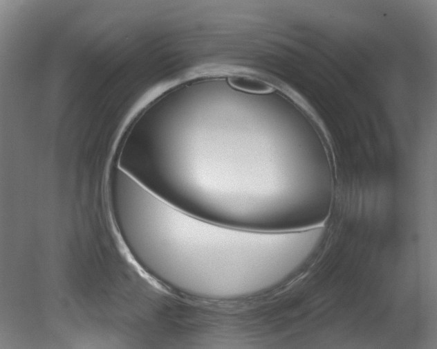X0000081321053200701111023