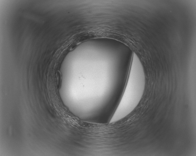 X0000081321057200701111023