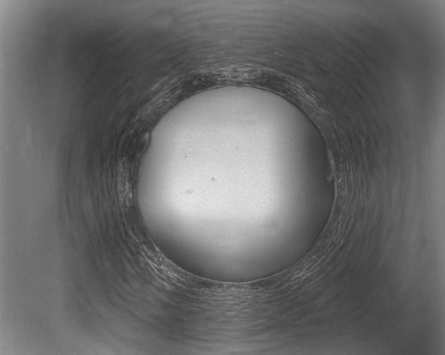 X0000081321058200701111023