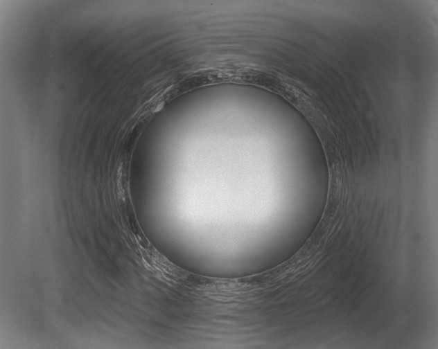 X0000081321060200701111023