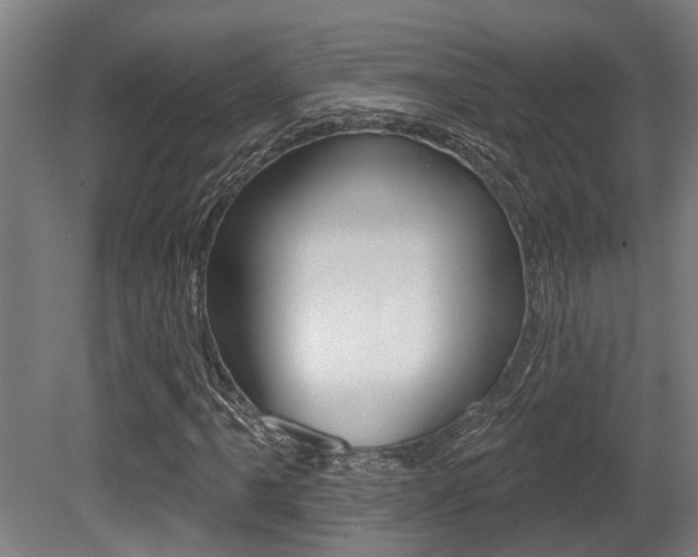 X0000081321061200701111023
