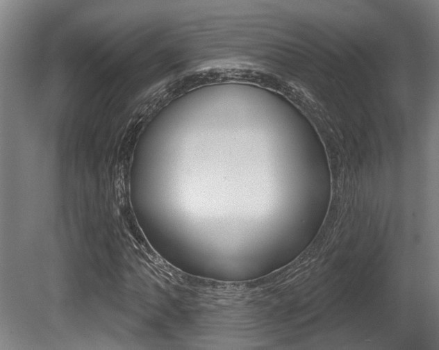 X0000081321062200701111023