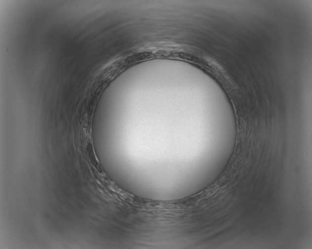 X0000081321063200701111023