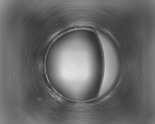 X0000081321065200701111022