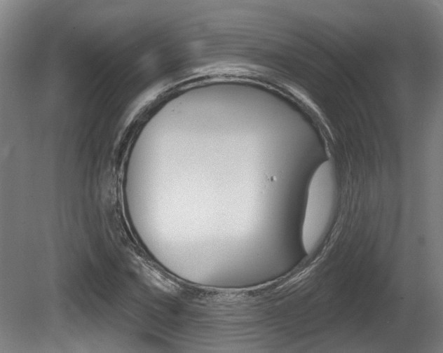 X0000081321067200701111022