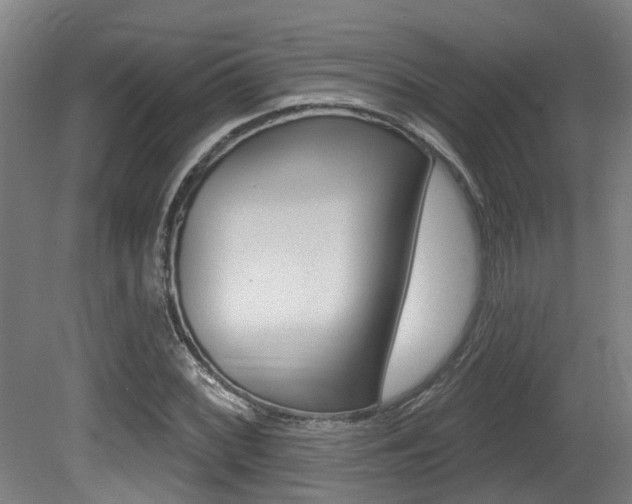 X0000081321068200701111022