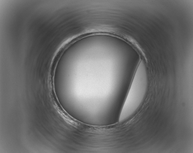 X0000081321072200701111022
