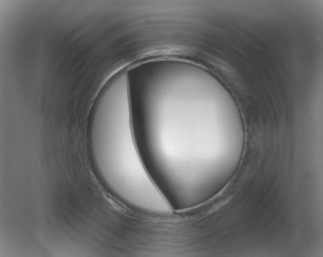 X0000081321073200701111022