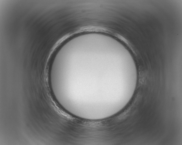 X0000081321074200701111022