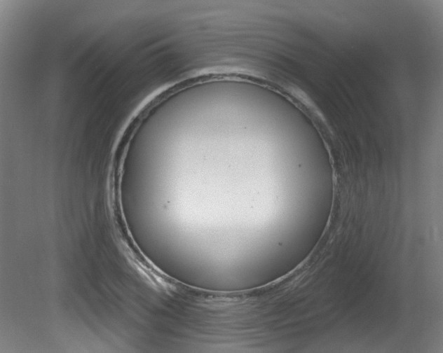 X0000081321076200701111022
