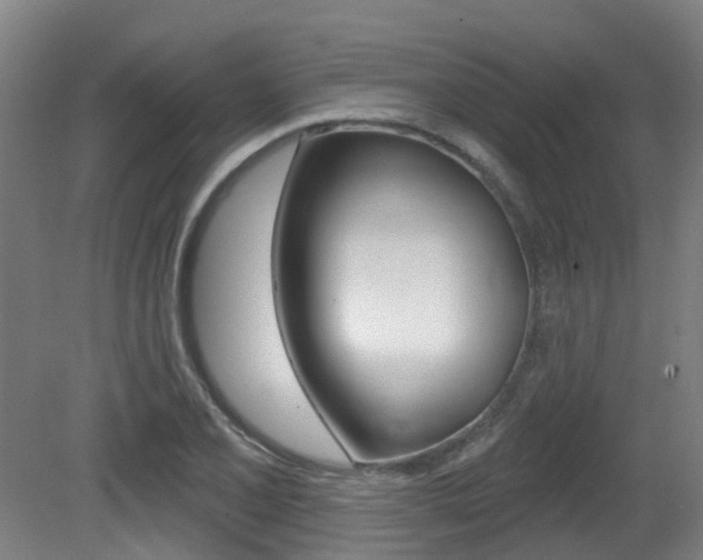 X0000081321077200701111022