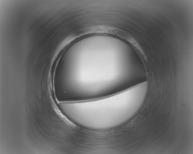 X0000081321080200701111022