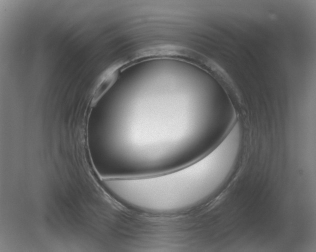 X0000081321081200701111022