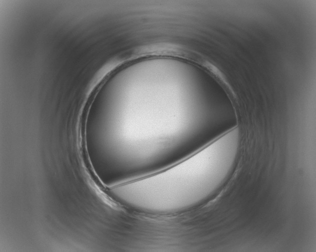 X0000081321082200701111022