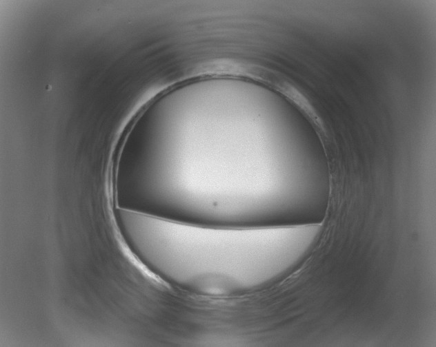 X0000081321084200701111022