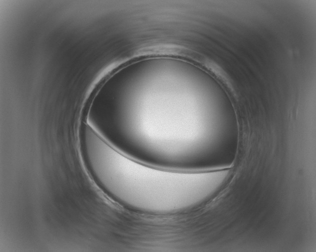 X0000081321085200701111022