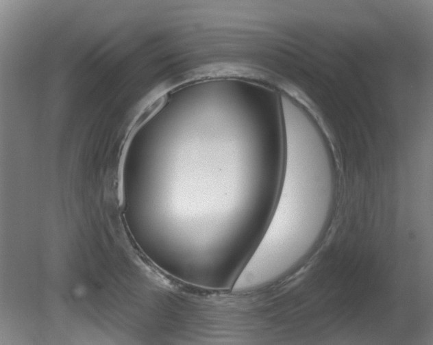X0000081321089200701111022