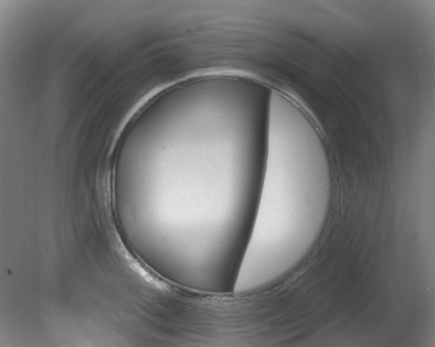 X0000081321092200701111022