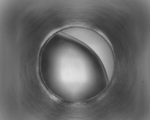 X0000081321093200701111022