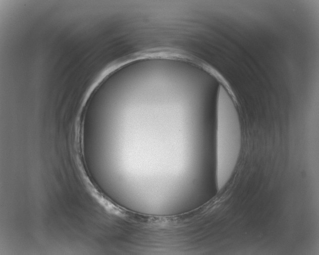 X0000081321099200701111022