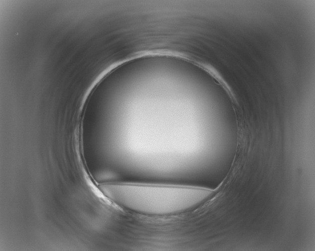 X0000081321100200701111022