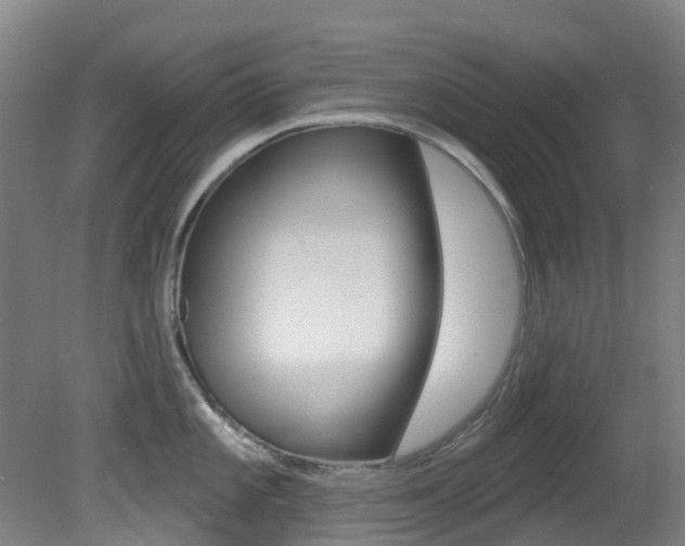 X0000081321101200701111022