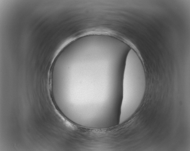 X0000081321103200701111022