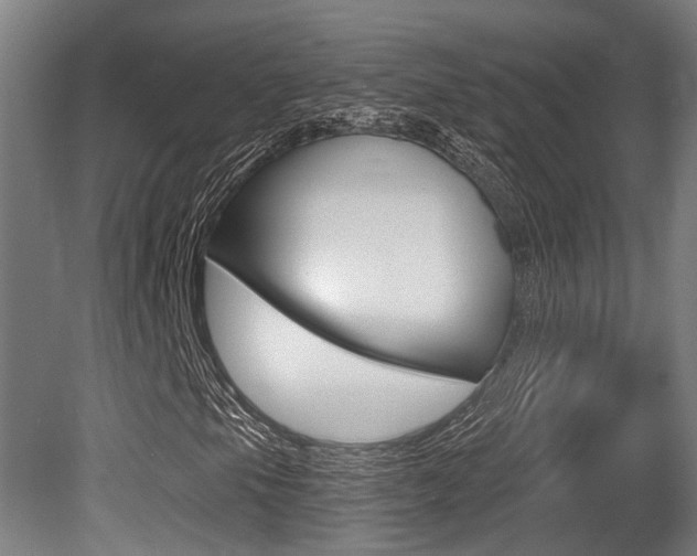 X0000081321105200701111021