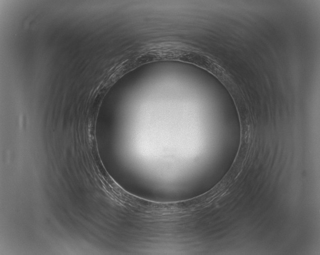 X0000081321108200701111021
