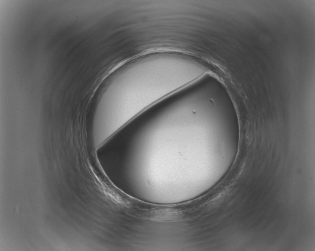 X0000081321113200701111021