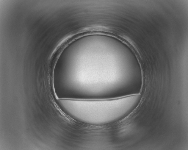 X0000081321115200701111021