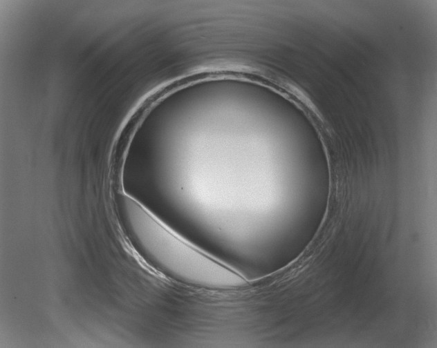 X0000081321116200701111021