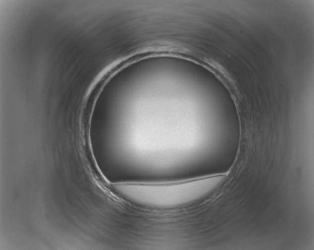 X0000081321120200701111021
