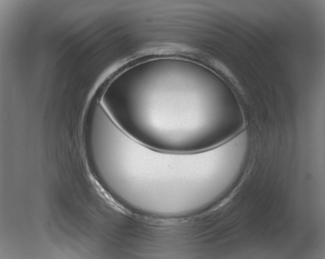 X0000081321122200701111021