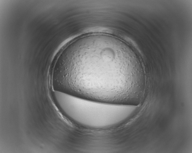 X0000081321125200701111021