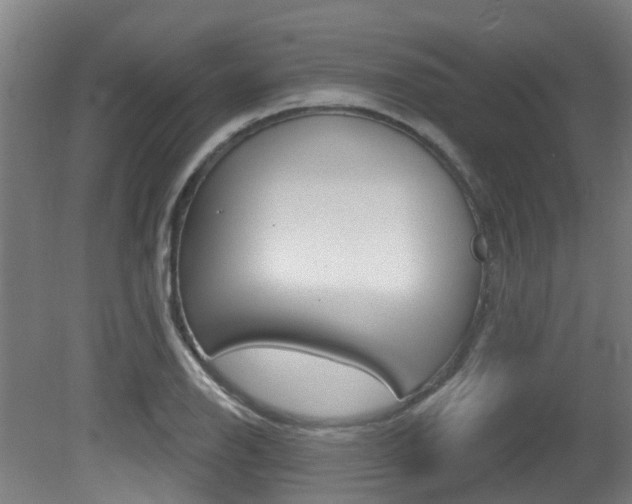 X0000081321126200701111021