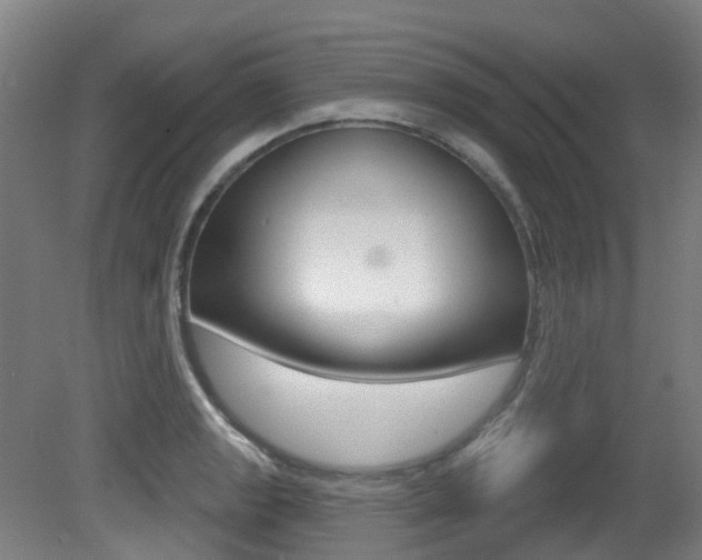 X0000081321133200701111021