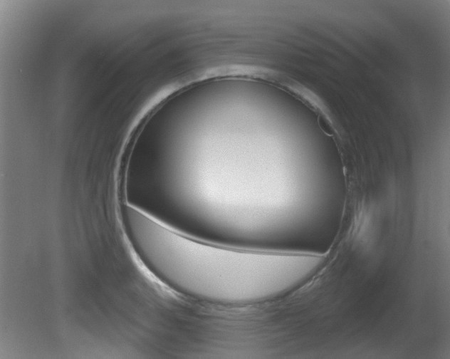 X0000081321135200701111022