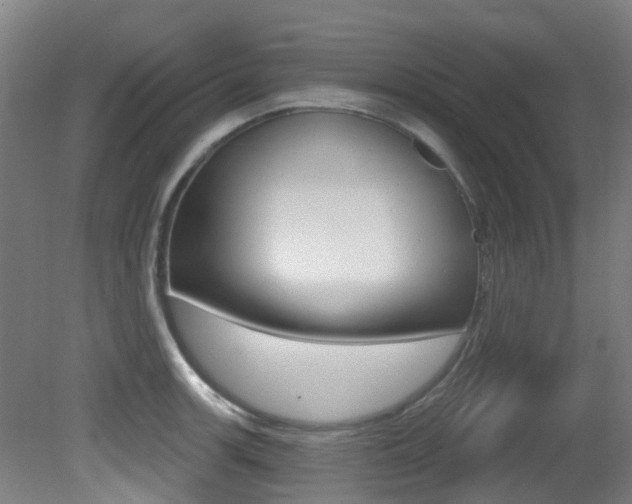 X0000081321139200701111022