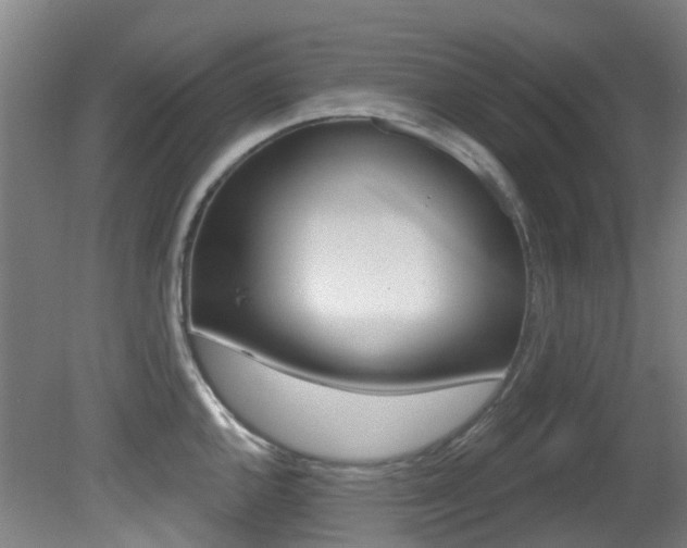 X0000081321144200701111022
