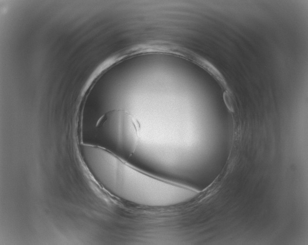 X0000081321146200701111022