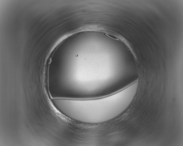 X0000081321147200701111022
