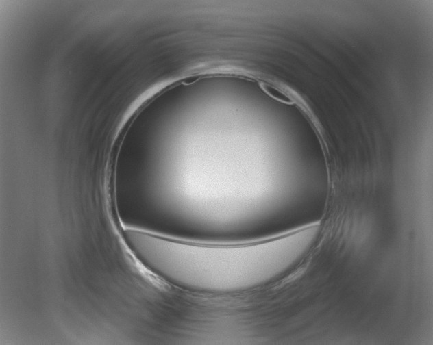 X0000081321149200701111022