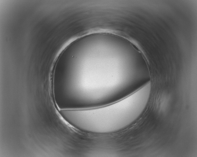 X0000081321151200701111022