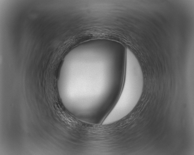 X0000081321153200701111021