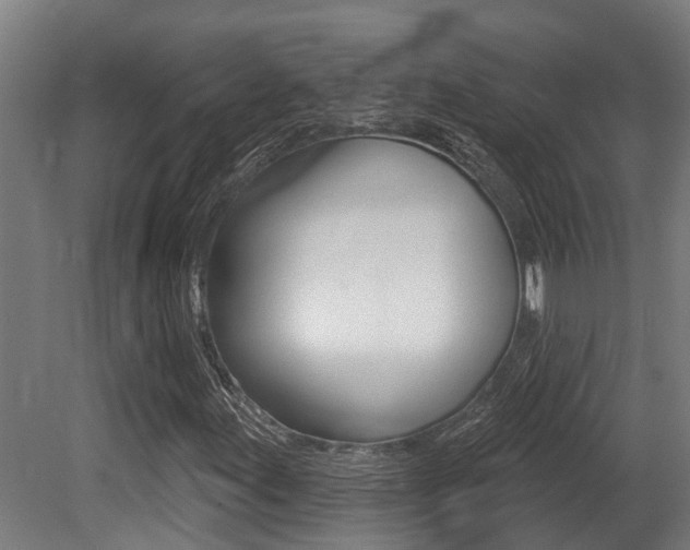 X0000081321155200701111021